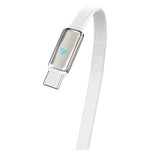 Porodo 100W LED USB-C To USB-C Leather Charging & Data Transfer Cable